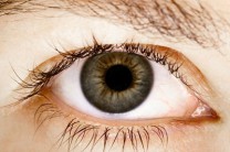 aa 