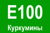 E100  