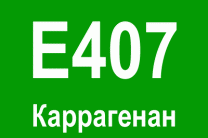 E407  