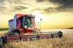 Какие дальнейшие события можно ожидать в области ГМО?