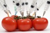 ГМО – накормим бедных или избавимся от бедности?