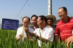 Китай призывает повышать продбезопасность с помощью ГМО 