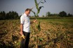 В Италии нашли нашли украинкие продукты с ГМО 