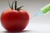 Каждая страна ЕС будет сама решать, выращивать ГМО-культуры или нет