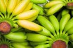 Женщинам будут платить за поедание бананов с ГМО