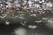 ГМО-комаров проверят в борьбе с малярией