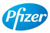  Pfizer   King Pharmaceuticals, Inc.